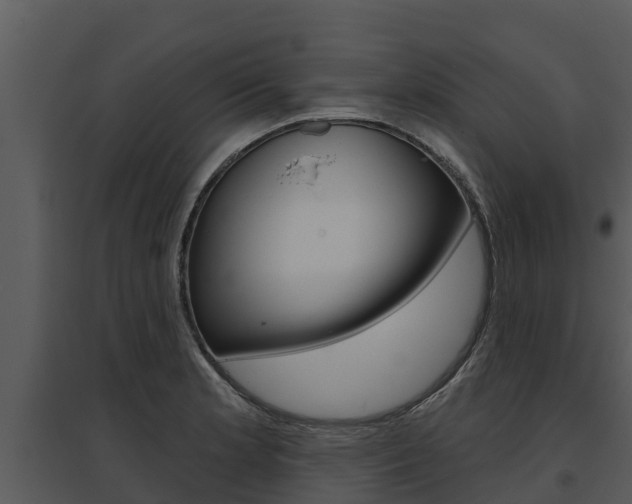 X0000095681181200801081056
