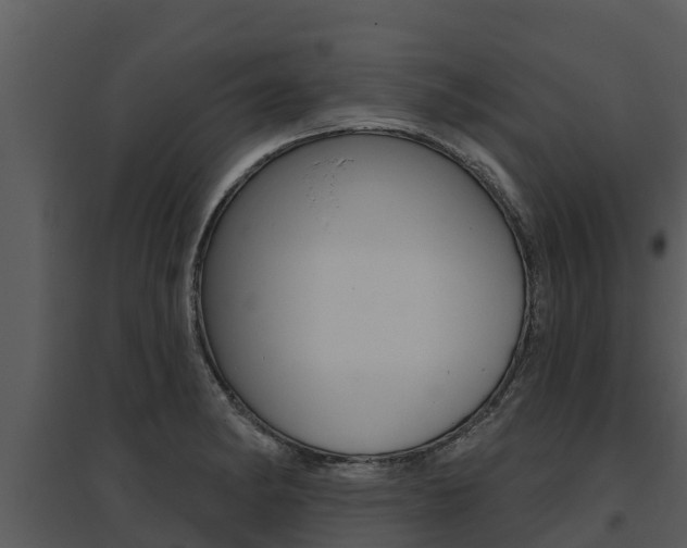 X0000095681182200801081056