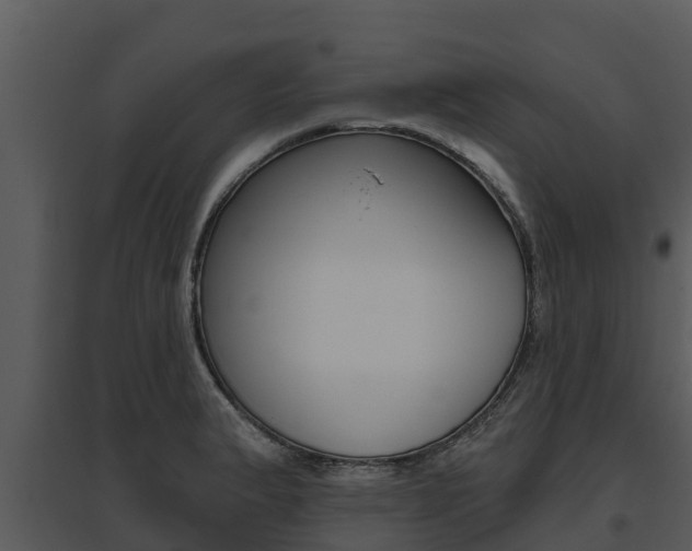 X0000095681183200801081056