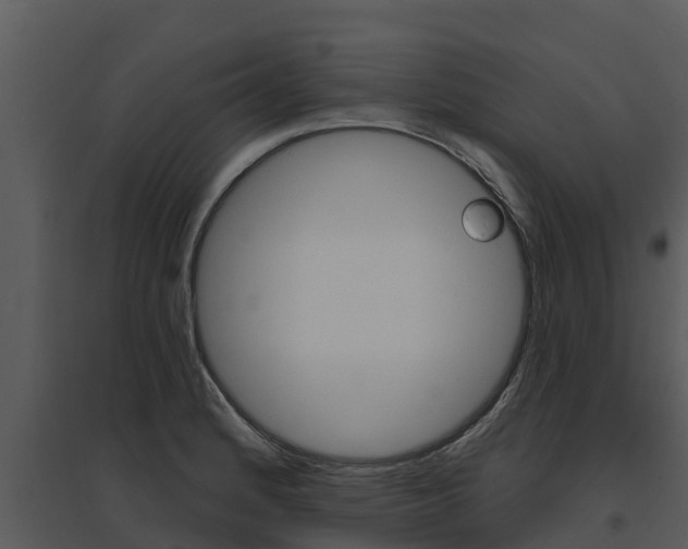 X0000095681184200801081056