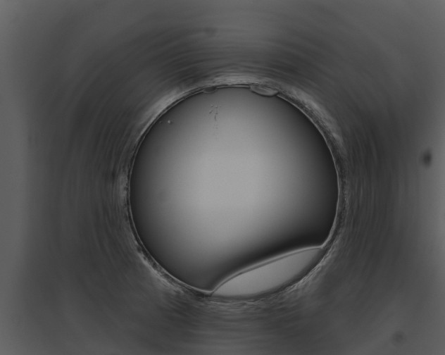 X0000095681185200801081056
