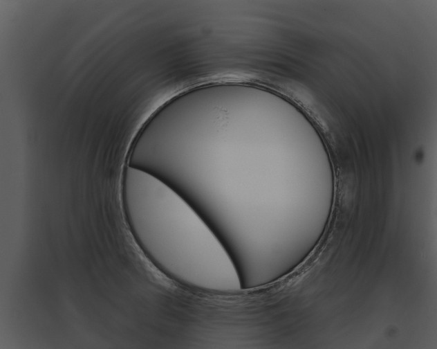 X0000095681186200801081056