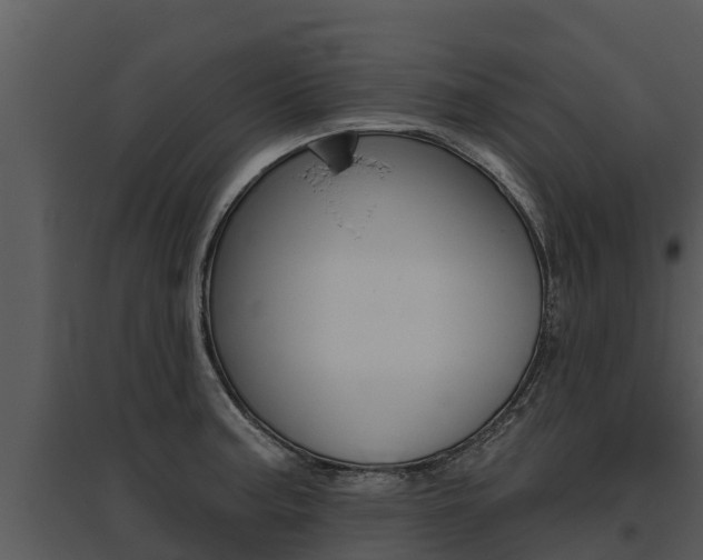 X0000095681187200801081056