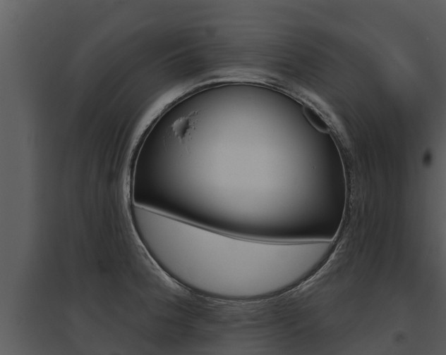 X0000095681188200801081056