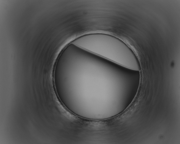 X0000095681189200801081056
