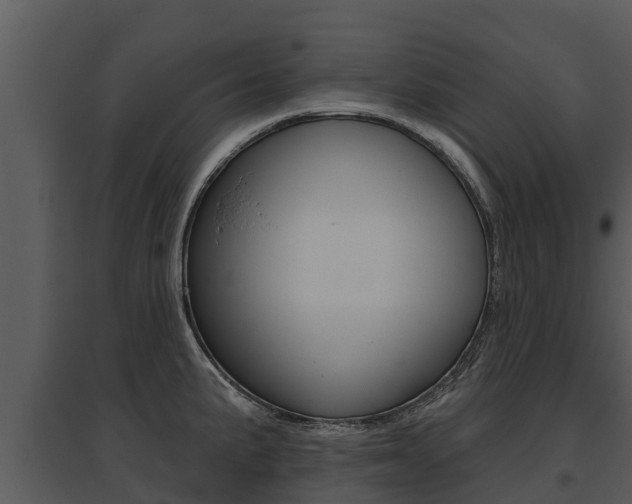 X0000095681191200801081056