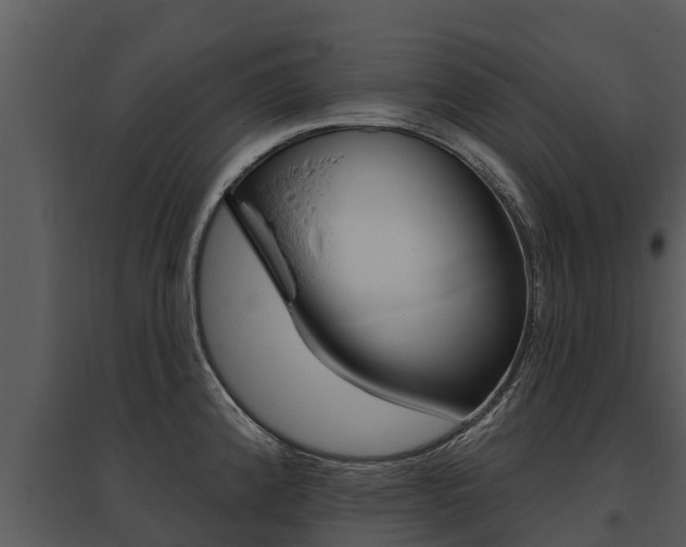X0000095681192200801081056