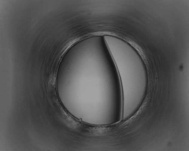 X0000095681193200801081056