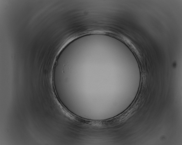 X0000095681194200801081056