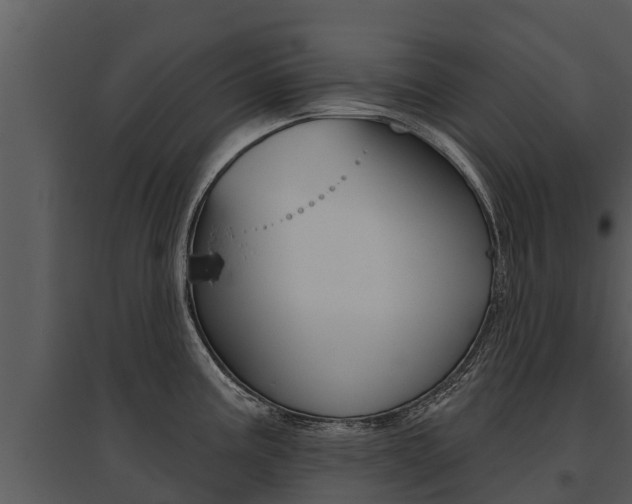 X0000095681195200801081056