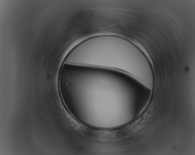 X0000095681197200801081056