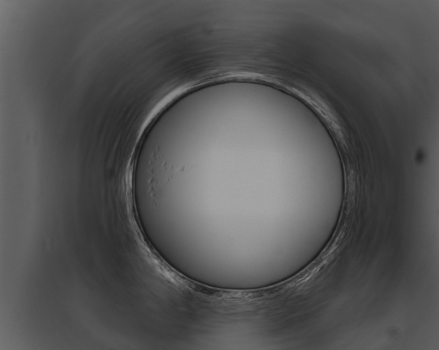 X0000095681198200801081056