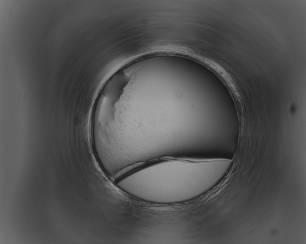 X0000095681199200801081056