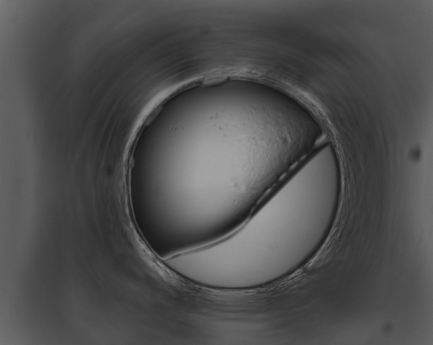 X0000095681200200801081056