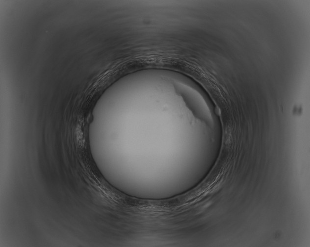 X0000095681202200801081055