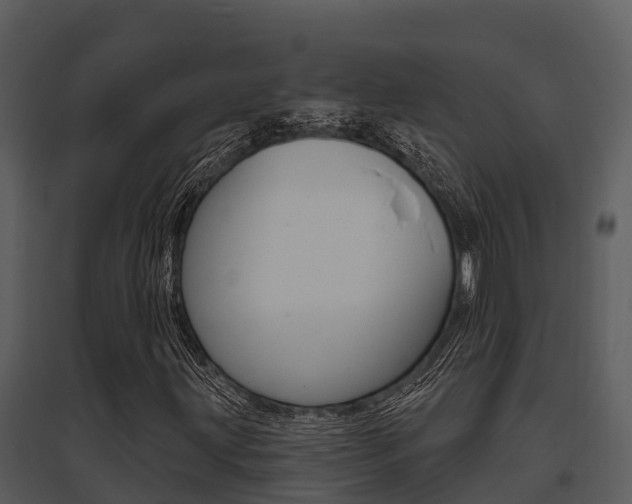 X0000095681203200801081055