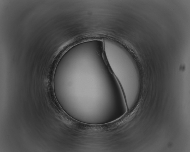 X0000095681210200801081055