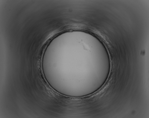X0000095681211200801081055