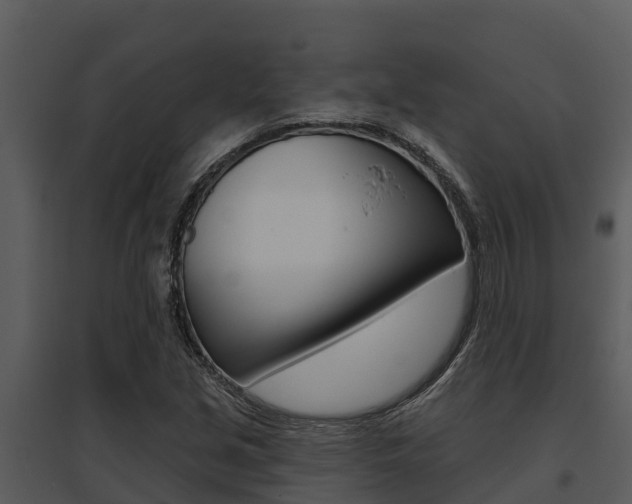 X0000095681213200801081055