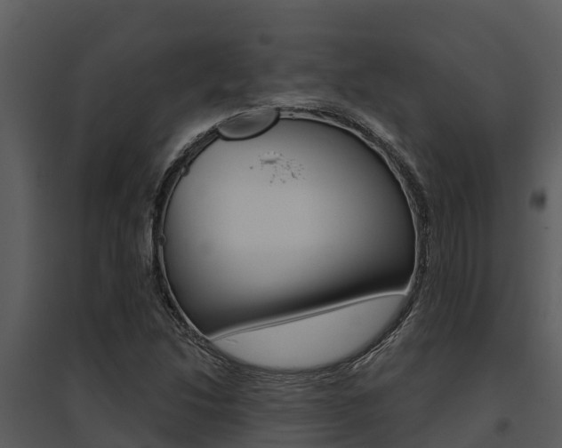X0000095681214200801081055