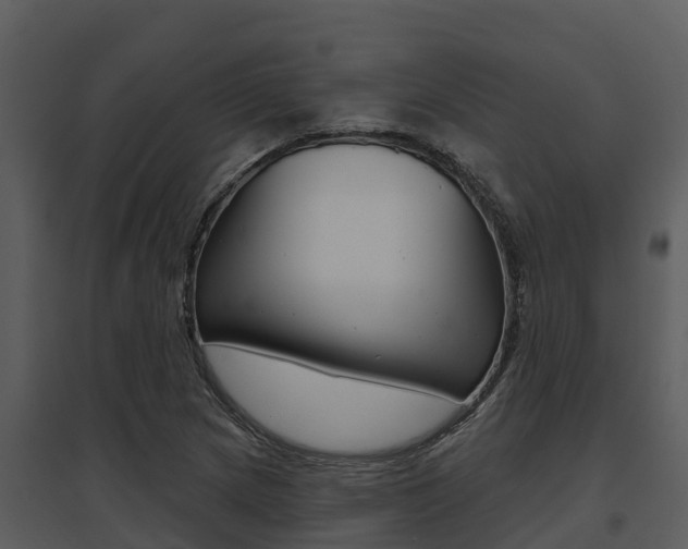 X0000095681217200801081055