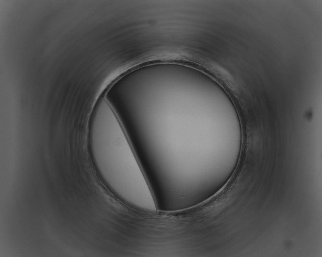 X0000095681226200801081055