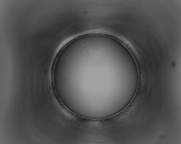 X0000095681230200801081055