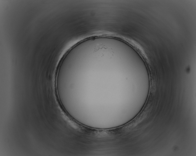 X0000095681231200801081055