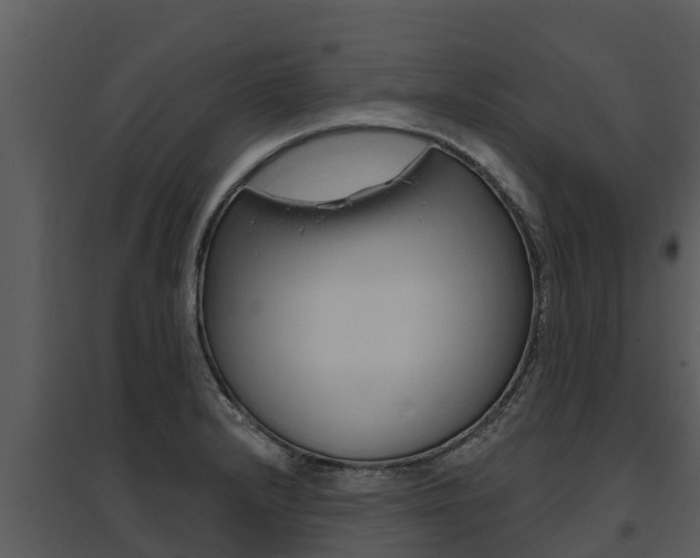 X0000095681232200801081055