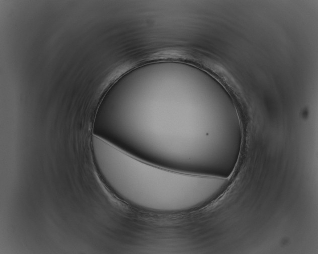X0000095681233200801081055