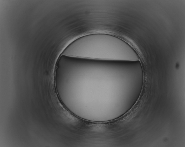 X0000095681236200801081055