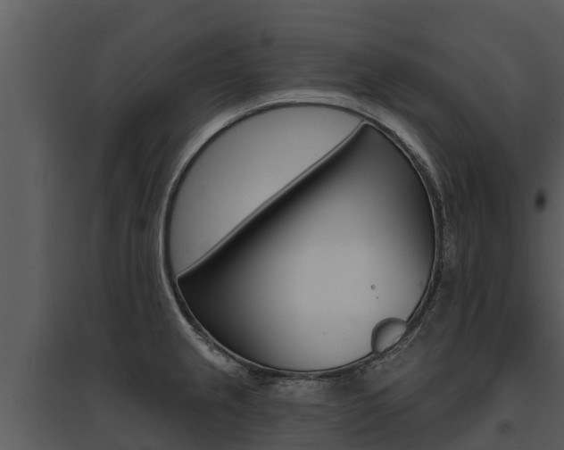 X0000095681237200801081055