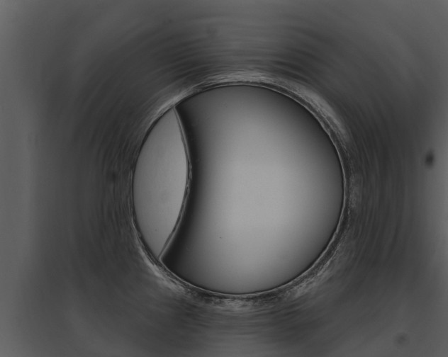 X0000095681241200801081055