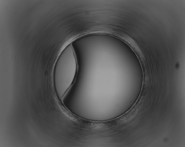 X0000095681242200801081055
