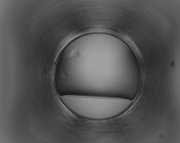X0000095681244200801081056
