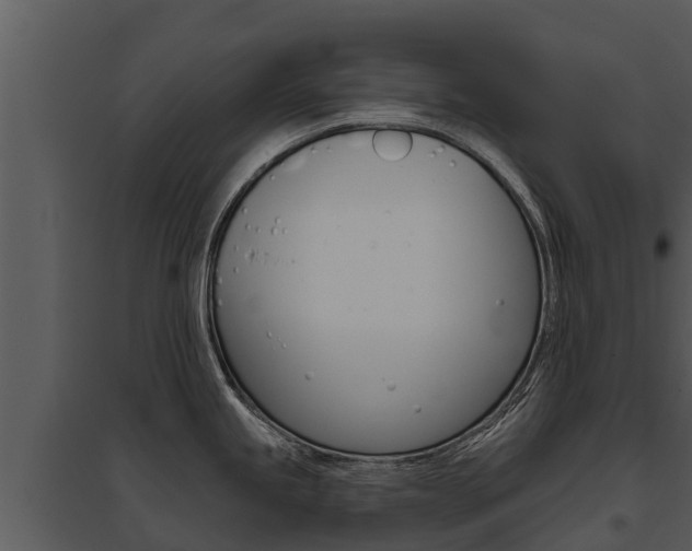 X0000095681245200801081056