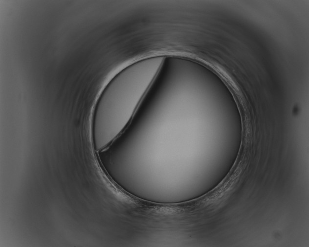 X0000095681246200801081056