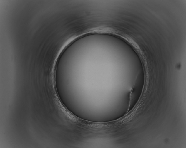 X0000095681248200801081056