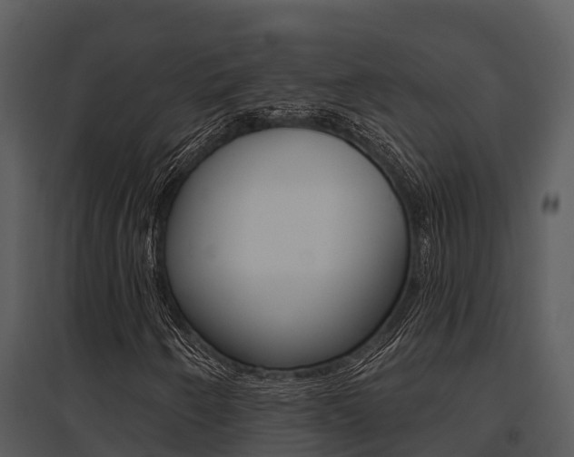 X0000095681250200801081055