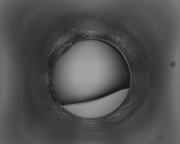 X0000095681253200801081055