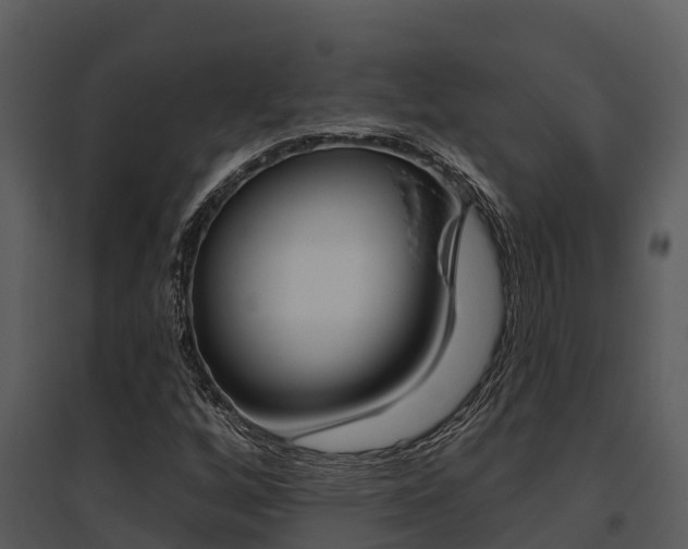 X0000095681256200801081055