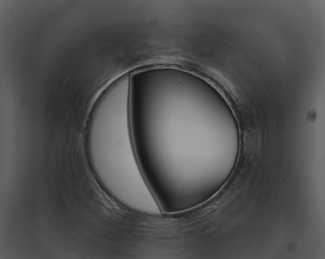 X0000095681260200801081055