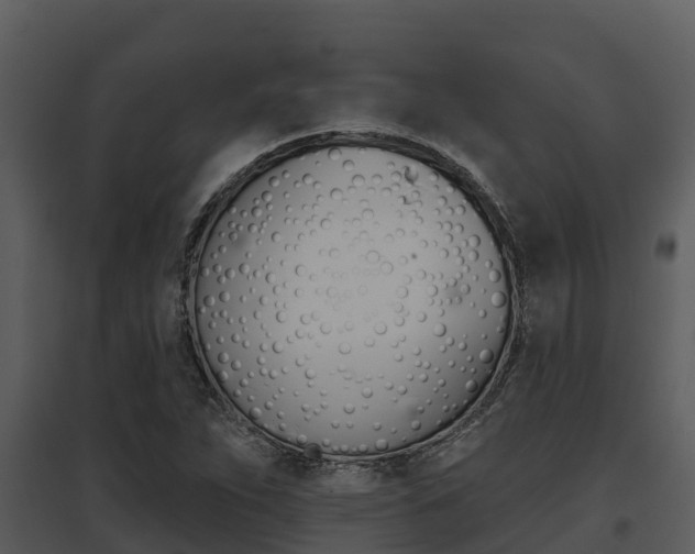 X0000095681263200801081055