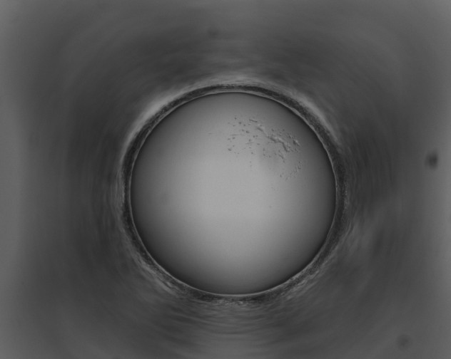 X0000095681270200801081055