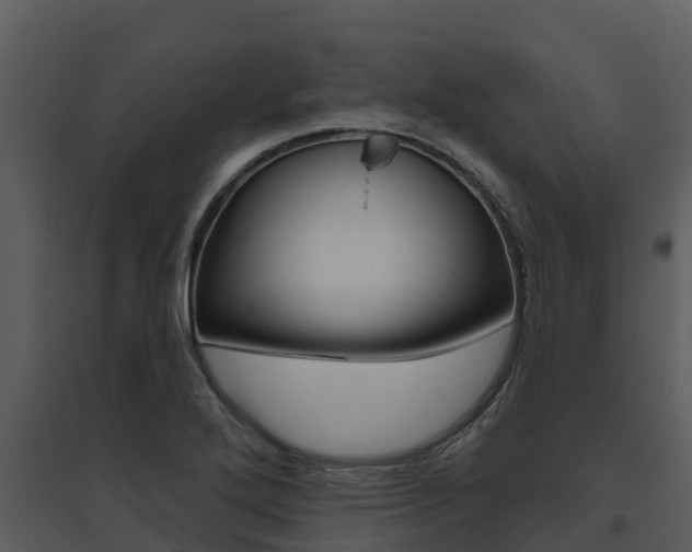 X0000095681272200801081055