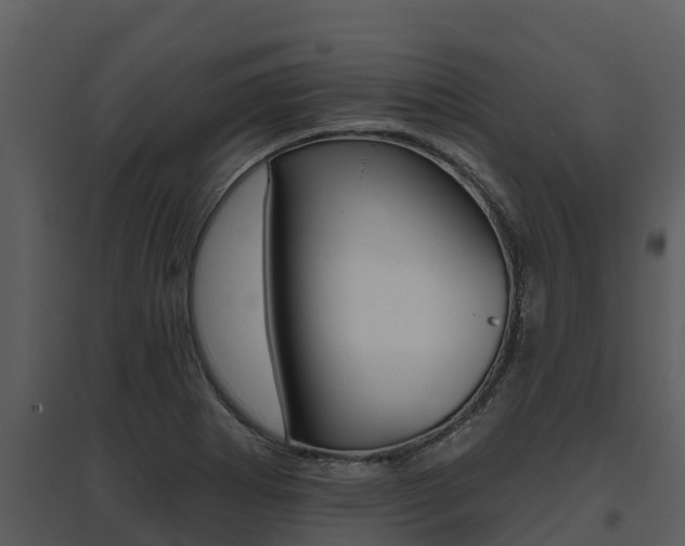 X0000095681273200801081055