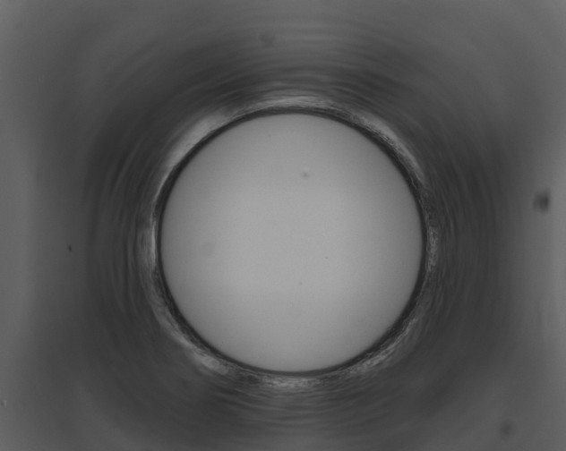 X0000095681274200801081054