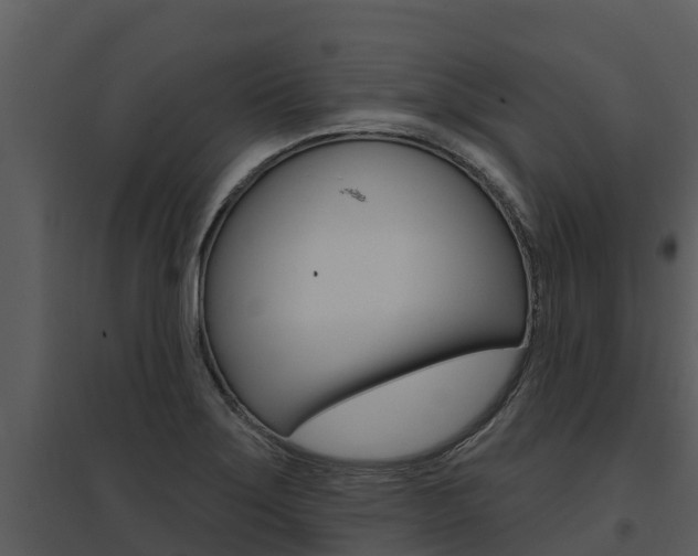 X0000095681275200801081054