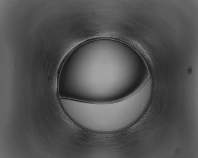 X0000095681276200801081054
