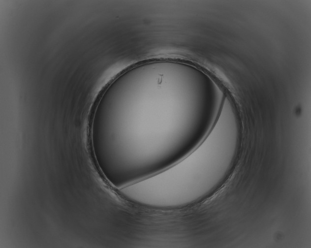 X0000095681277200801081054